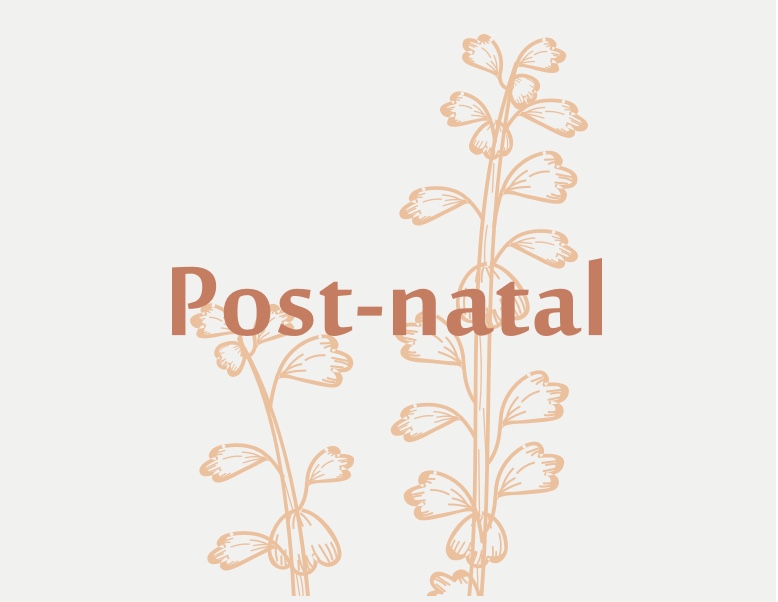 postnatal-2