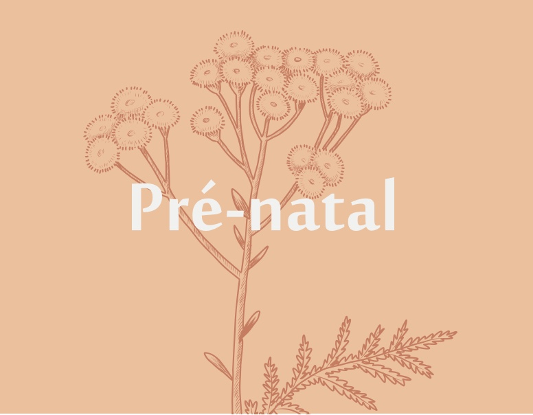 prenatal-2